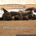 ���� Serega, ������, 37 ��� - ��������� 18 ��� 2015 � ������ ������ ��������