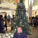 ���� ϸ��, ������ - ��������� 23 �������� 2015 � ������ ���� ����������