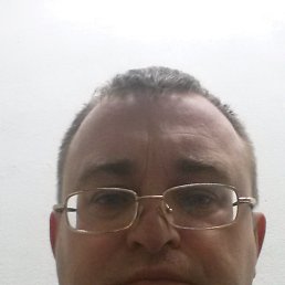 , 55 , 