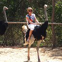 ���� �������, ��������, 46 ��� - ��������� 9 ���� 2015 � ������ ���� ����������