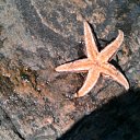 ���� �����, ����, 44 ���� - ��������� 24 ������ 2015 � ������ ����� ������