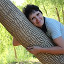 ���� �����, ������, 64 ���� - ��������� 7 ������� 2015 � ������ ���� ����������