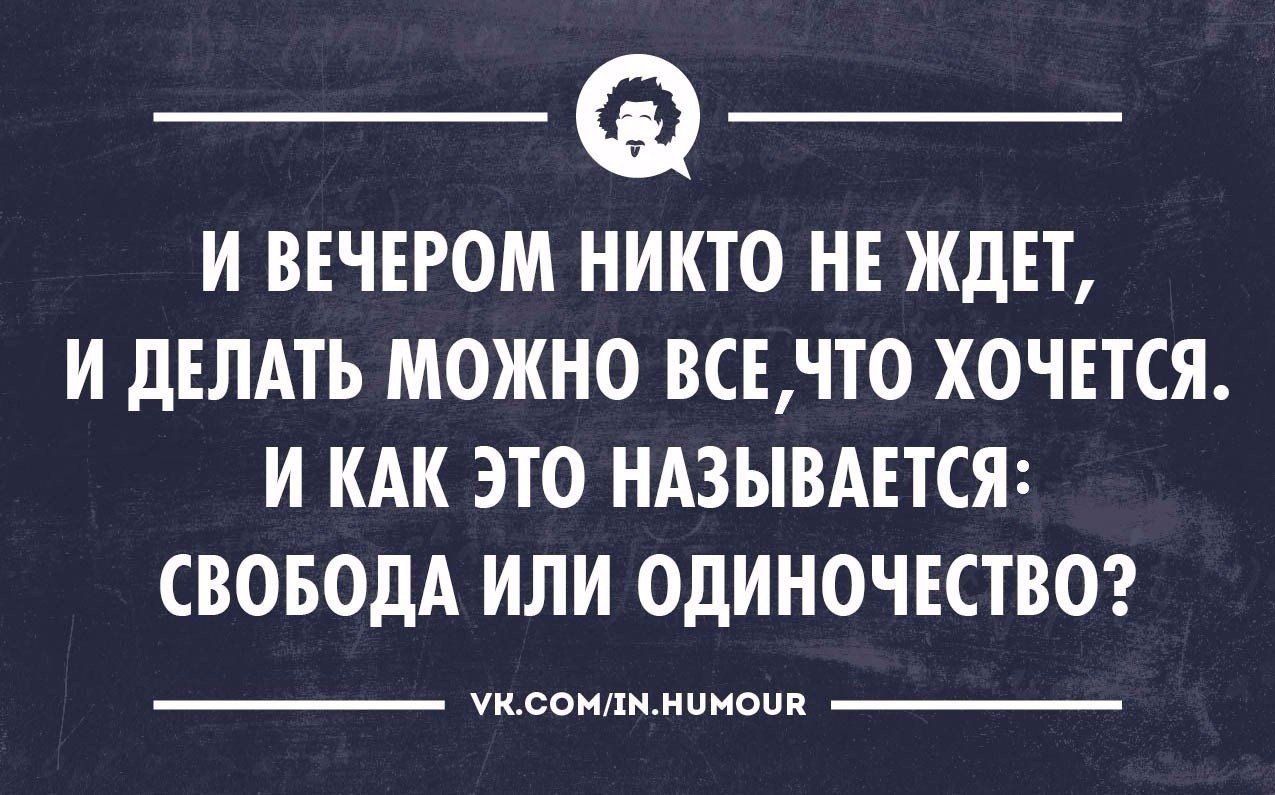 И не все могут. Интеллектуальный юмор сарказм. Свобода или одиночество. И вечером никто не ждет. Шутки про холостяков.