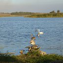 ���� ����, ���������, 47 ��� - ��������� 8 ���� 2015 � ������ �� ��� �����.�