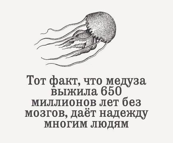   - 12  2015  17:15