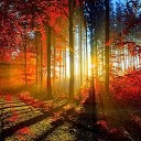 ���� ����, ������, 55 ��� - ��������� 15 �������� 2015 � ������ ������ ��������