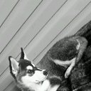 ���� �����, �����������, 45 ��� - ��������� 28 ������� 2015 � ������ ���� ����������