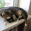 ���� �������� ���������, �����������, 63 ���� - ��������� 16 ������� 2015 � ������ �����