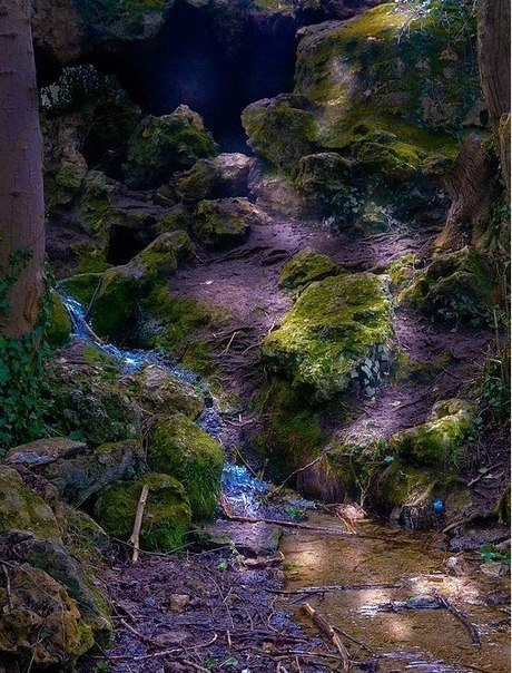    ,      ,        .   ... - 6