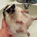 ���� �����, �����, 48 ��� - ��������� 21 ������� 2015 � ������ �12�