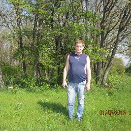 ��������, �����������, 56 ���