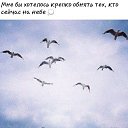 ���� �������-183, ��������, 54 ���� - ��������� 23 ������� 2015 � ������ ���� ����������