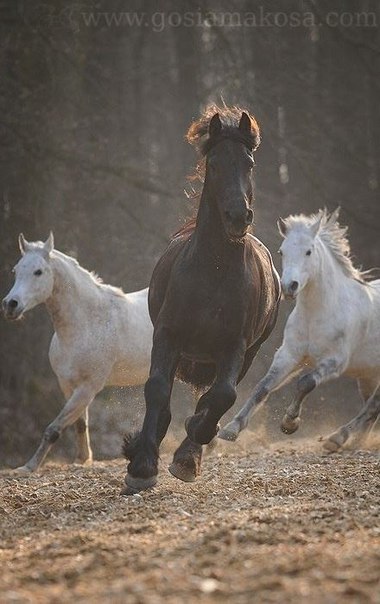   - 25  2015  21:15 - 6