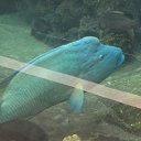 ���� ������, ������, 45 ��� - ��������� 12 ������� 2015 � ������ ���� ����������