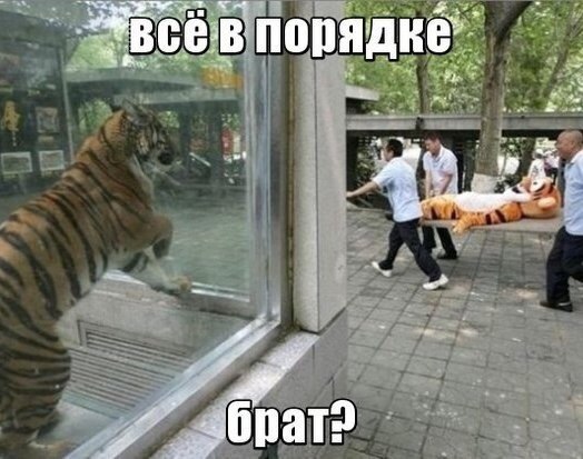 ������� ����� ����� :-) - 23 �������� 2015 � 18:40