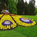 ���� ������, �����, 57 ��� - ��������� 27 ���� 2015 � ������ ����������