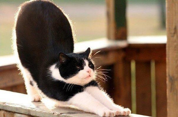 ...�������� ���� ������� ���� :) - 6