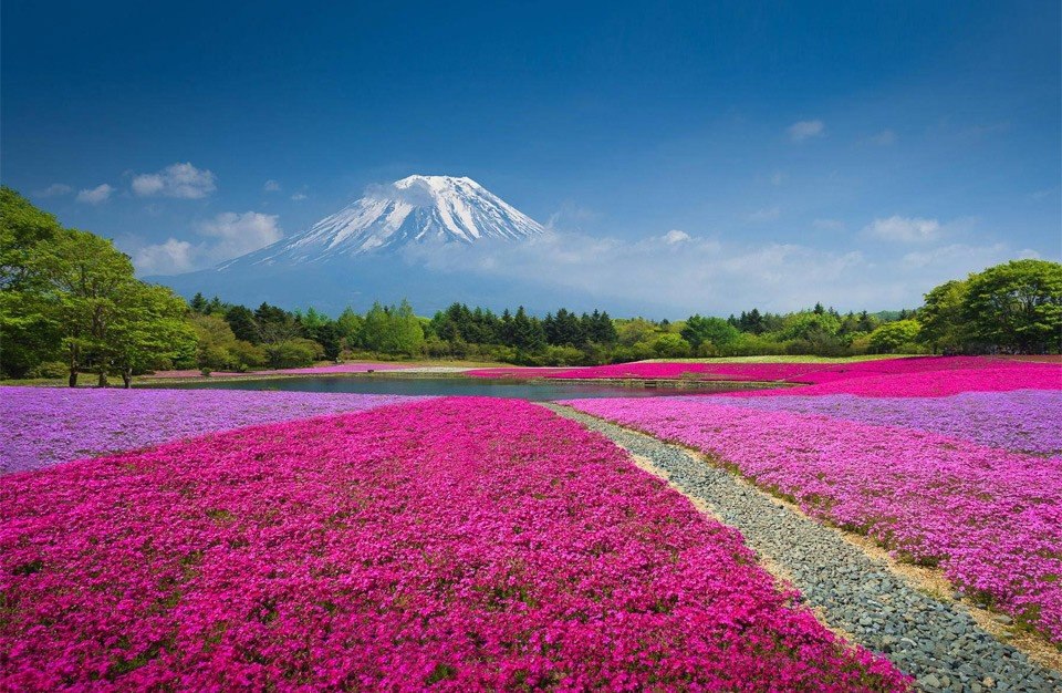 ��������� ���� � ���� ��������, ������