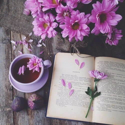 Суди глаза, улыбку, смех, Суди меня как знаешь. Вот только душу не суди, Ведь ты ее не знаешь..