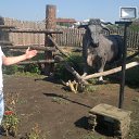 ���� ���������, ��������-��-������, 53 ���� - ��������� 28 ������� 2015