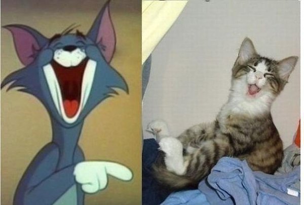     :-D