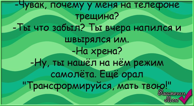 Пока четыре про. Анекдот про бабку и собак. Шутка про бабушку и собак. Анекдот про бабушку и 4 собаки. Анекдот аба сруся пира ГАМИ.