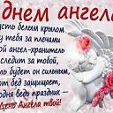 ���� �������, ������ - ��������� 8 �������� 2015 � ������ ������ ��������