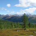  ,  -  13  2015     -    ( )   ( )