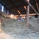 ���� ��������, ����������, 46 ��� - ��������� 16 ���� 2015 � ������ ���� ����������