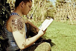 �����������