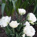 ���� ���������, ����� - ��������� 10 ��� 2015 � ������ ���� ��������� ������