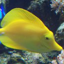 ���� �������, ������ - ��������� 23 ������ 2015 � ������ ���� ����������