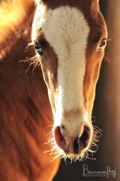 ����� ������� - 8 �������� 2015 � 18:30