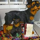 ���� ������, ������������ - ��������� 12 ������� 2015 � ������ ���� ����������