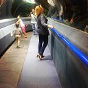 ���� �����, ������, 52 ���� - ��������� 14 ������� 2015