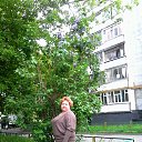 ���� ������� ��������, �������, 47 ��� - ��������� 14 ���� 2015 � ������ ���� ����������