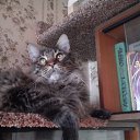 ���� ����, ������, 65 ��� - ��������� 4 �������� 2015