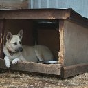 ���� ��� ������������� ������� ����. �������,�������,� ��� �� ����������,����� �������� � ����������. ������ � ������� ���....

�������:
�������(�����) ��������
�������:
8-917-571-03-08
�.������������ �� ������� ���������