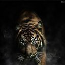 ���� Zl@t@, ������-��-���� - ��������� 23 �������� 2015 � ������ ������