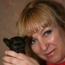 Svetlana, 59, Днепродзержинск