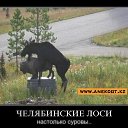 ���� ������, ��������, 59 ��� - ��������� 16 �������� 2015 � ������ ������ ��������