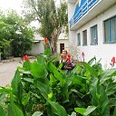 ���� �����, ������, 45 ��� - ��������� 8 �������� 2015 � ������ ������� 2015....�SSS��������