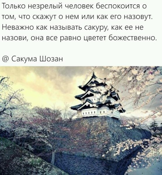 .. - 11  2015  20:46