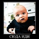 ���� 37 ������, �������, 38 ��� - ��������� 31 ���� 2015 � ������ ���� ����������