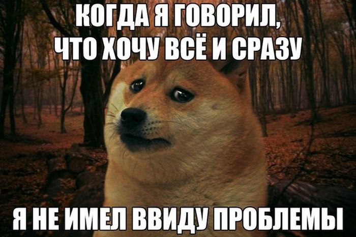   - 26  2015  08:19