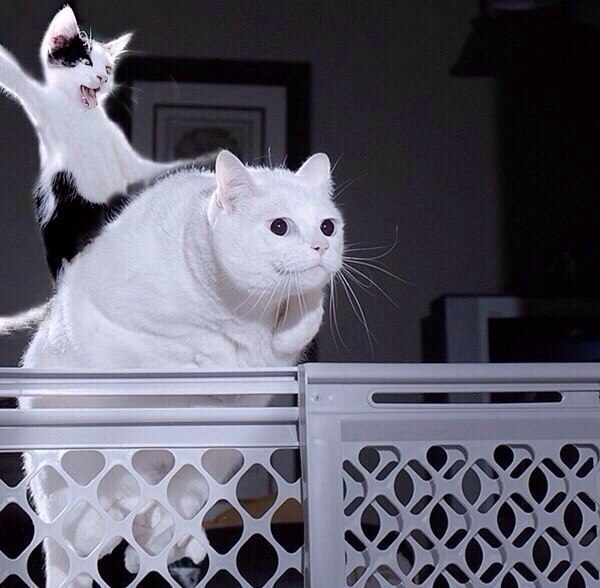       - 21  2015  04:02 - 6