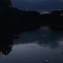 ���� �������, �����-���������, 54 ���� - ��������� 23 �������� 2015 � ������ ������� +������