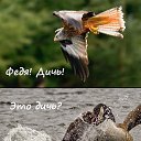 ���� ������, ������, 44 ���� - ��������� 5 ������� 2015 � ������ ������ ��������