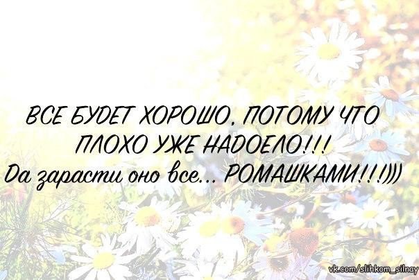 Потому что отлично. Зарасти все ромашками. Всё будет хорошо потому что плохо уже надоело. Все будет хорошо потому что плохо уже было. Зарасти оно все ромашками.