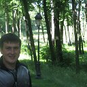 ���� ������, ����, 41 ��� - ��������� 12 �������� 2015 � ������ ���� ����������